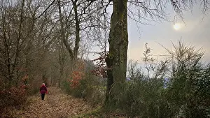 Person in red on a forest path covered with leaves