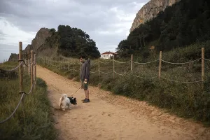A person walks their dog along a sandy path surrounded by lush greenery and rocky cliffs in Ea