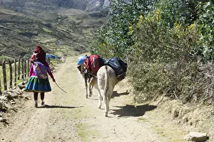 Peru - 18. June 2016