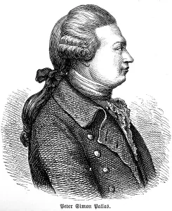 Peter Simon Pallas, German geographer and naturalist in Central Asia