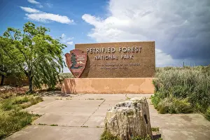 Petrified Forest National Park