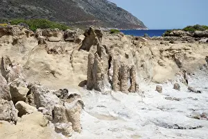 Petrified forest near Agia Maria