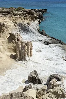 Petrified forest near Agia Maria