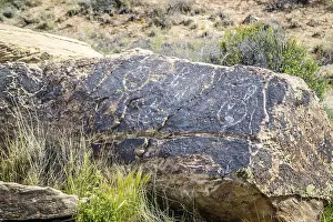 Petrified rocks of late Triassic period in Petrified Forest Nationa Park