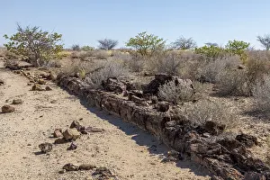 Petrified tree trunk, Petrified Forest