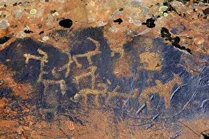 Petroglyphs of Siberian ibex (Capra sibirica)
