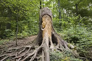 Pfullinger Sagenweg, the face of the Urschel