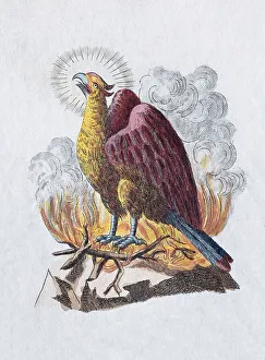 Phoenix, hand-colored copper engraving from children's picture book by Friedrich Justin Bertuch