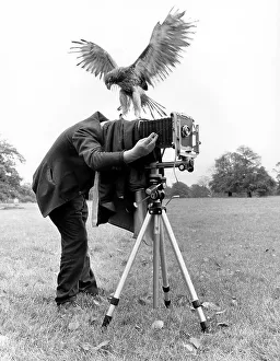 Photographer with Bird of Prey