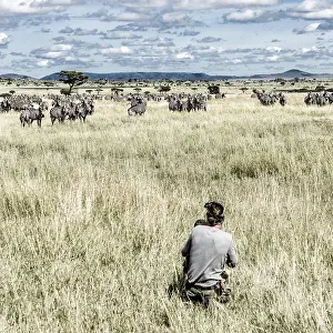 Photographer and group of zebras in Serengeti National Park