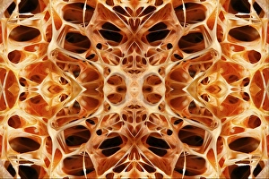 PHOTOMONTAGE, Graphic structure