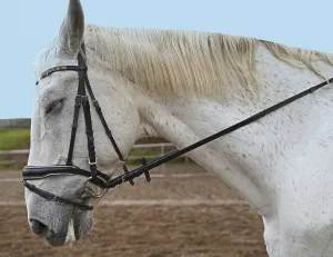 Photoshooting with white horse on a riding ground in Bavaria