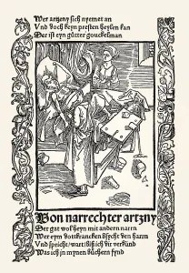 The physician, Ship of Fools, Das Narrenschiff