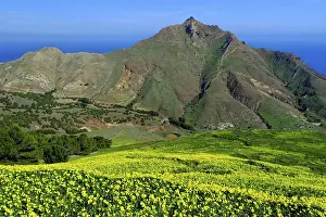 Pico Branco, Porto Santo Island