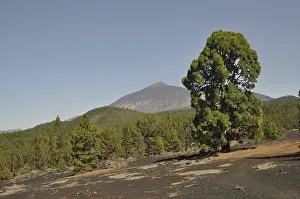 Pico del Teide, Tenerife, Teide