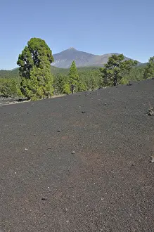Pico del Teide, Tenerife, Teide