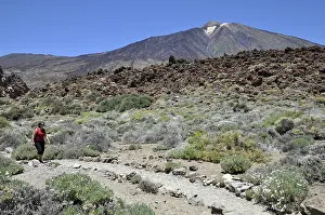 Pico del Teide, Tenerife, Teide