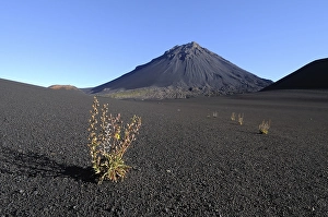 Pico de Fogo Volcano, Fogo Island