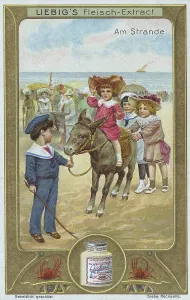 Picture series On the beach, children want to ride a donkey