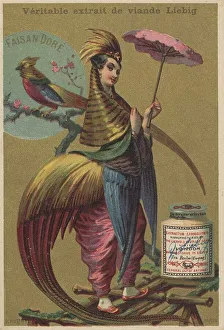 Picture series Birds 2, Golden pheasant and a woman adorned with pheasant feathers