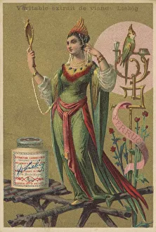 Picture series Birds 2, Parrot and a woman decorated with parrot feathers
