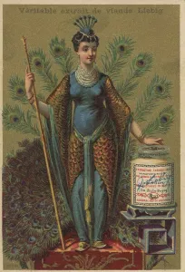 Picture series Birds 2, Peacock and a woman adorned with peacock feathers