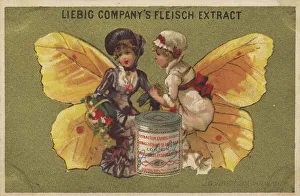 Picture series Butterflies 1, Lemon butterfly