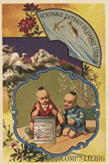 Picture series Chinese I (1880) (Paris)