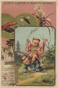 Picture series Chinese I (1880) (Paris)