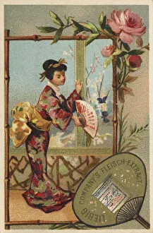 Picture series Chinese I (1880) (Paris)