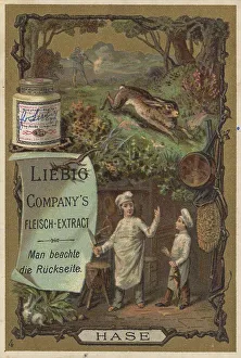 Picture series Cook and Cooks, Hare