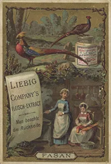 Picture series Cook and Cooks, Pheasant