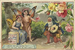 Picture series Elves and gnomes