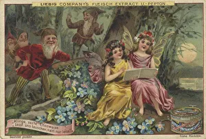 Picture series Elves and gnomes