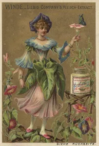 Picture series Flower Girl 2, Winch