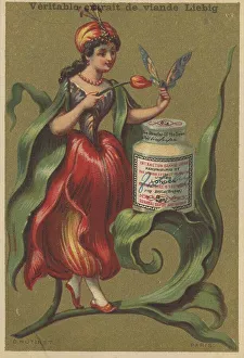 Picture series Flower Girl I. 1883