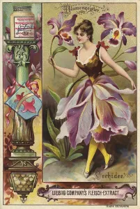 Picture series Flower spirits, woman with orchid
