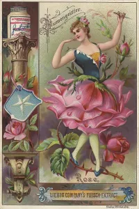 Picture series Flower Spirits, Woman with Rose