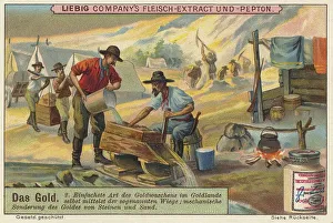 Picture series The gold, gold panning by means of the cradle