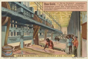 Picture series The gold, the stone masses ground and mixed with water in the panning mill pass over copper plates