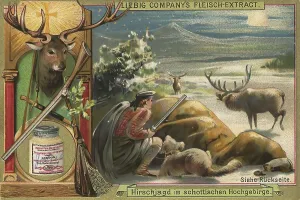 Picture series Hunting, stag hunt in the highlands of Scotland