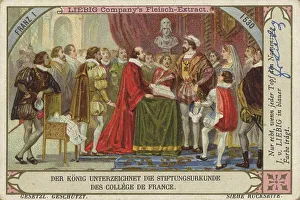 Picture series Kings, Francis I