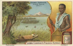 Picture series Known inland lake with natives