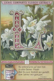 Picture series Letters and Plants