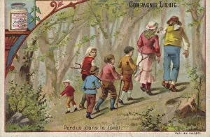Picture series Little Thumb, walking through the forest to abandon the children