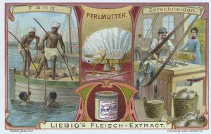 Picture series Materials, mother-of-pearl