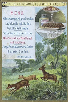 Picture series Menu, with venison