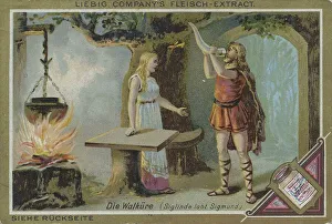 Picture series operas: Die Walkuere