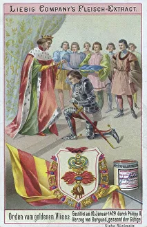 Picture series Order, Order of the Golden Fleece