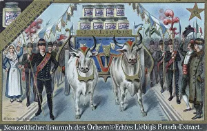 Picture series about the ox, modern triumph of the ox as Liebig's meat extract